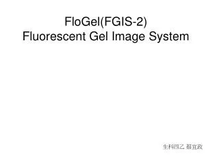 flogel fgis 2 fluorescent gel image system