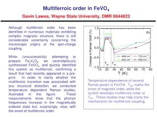 Multiferroic order in FeVO 4 Gavin Lawes, Wayne State University, DMR 0644823