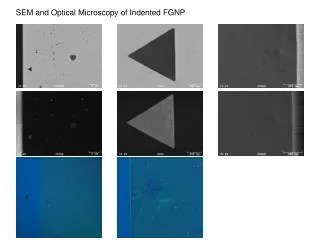 SEM and Optical Microscopy of Indented FGNP