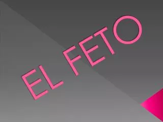 el feto