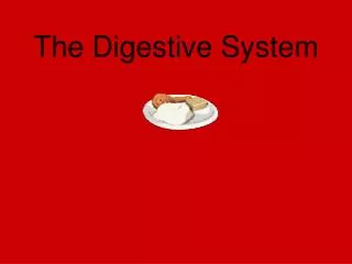 The Digestive System