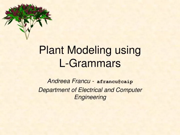 plant modeling using l grammars