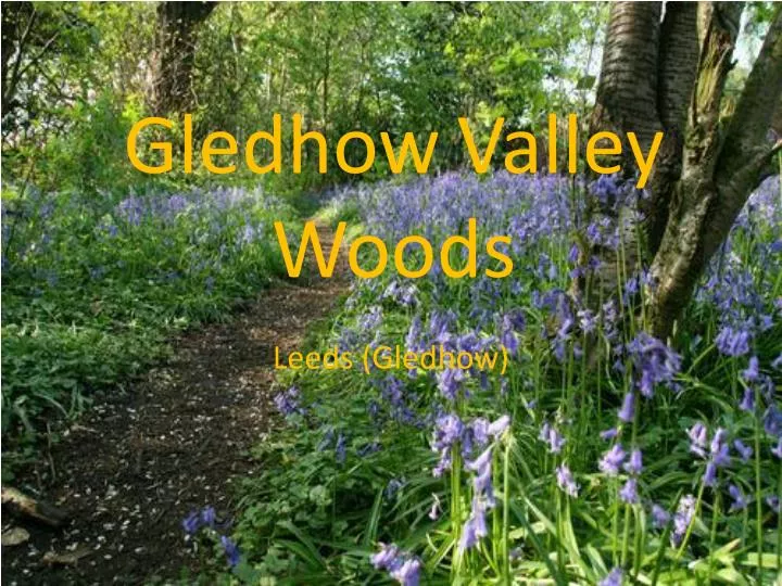 gledhow valley woods