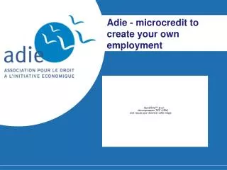 Adie - microcredit to create your own employment