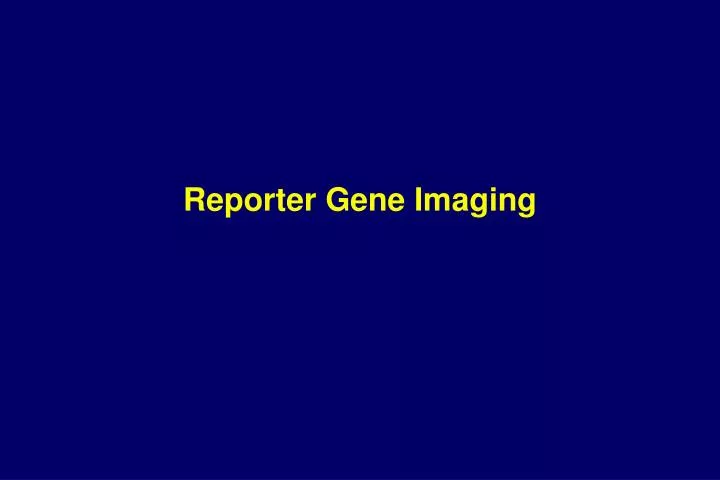 reporter gene imaging