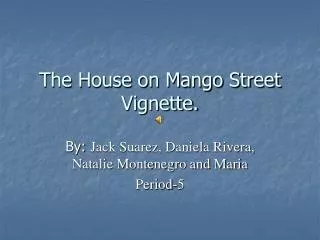 The House on Mango Street Vignette.