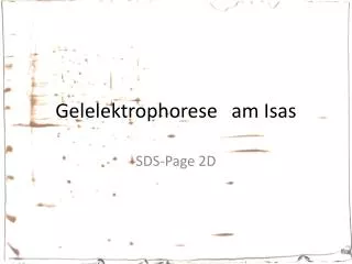 gelelektrophorese am isas
