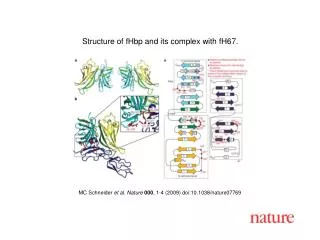 MC Schneider et al. Nature 000 , 1-4 (2009) doi:10.1038/nature07769