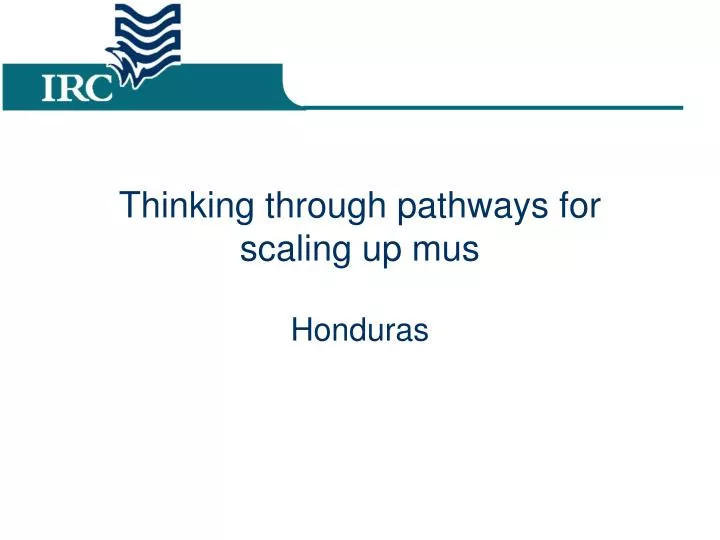 thinking through pathways for scaling up mus