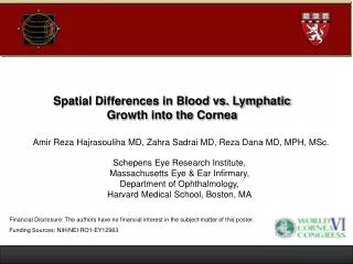 Spatial Differences in Blood vs. Lymphatic Growth into the Cornea