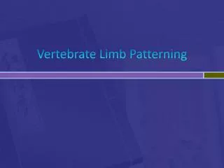 Vertebrate Limb Patterning