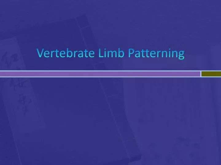 vertebrate limb patterning