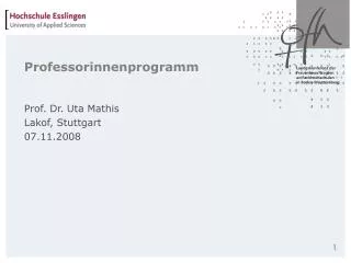 professorinnenprogramm