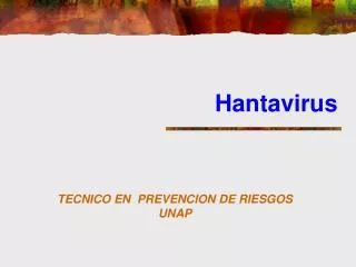 hantavirus
