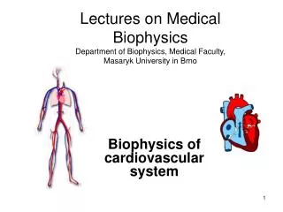 Biophysics of cardiovascular system