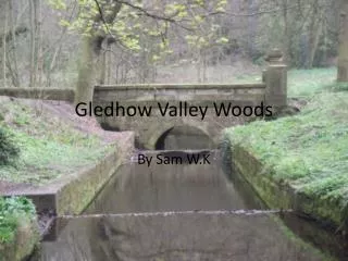 Gledhow Valley Woods