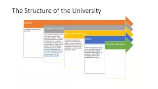 the structure of the university