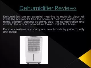 Best Dehumidifier