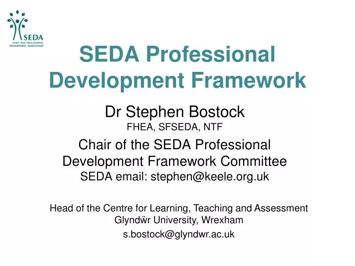seda professional development framework