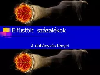 elf st lt sz zal kok