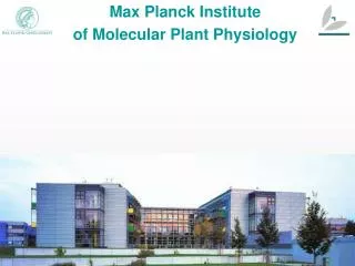 Max Planck Institute of Molecular Plant Physiology