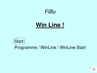 fibu win line