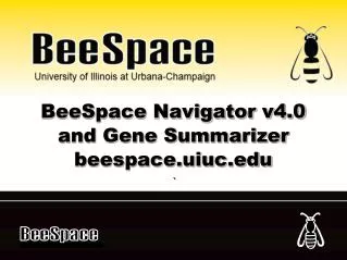BeeSpace Navigator v4.0 and Gene Summarizer beespace.uiuc