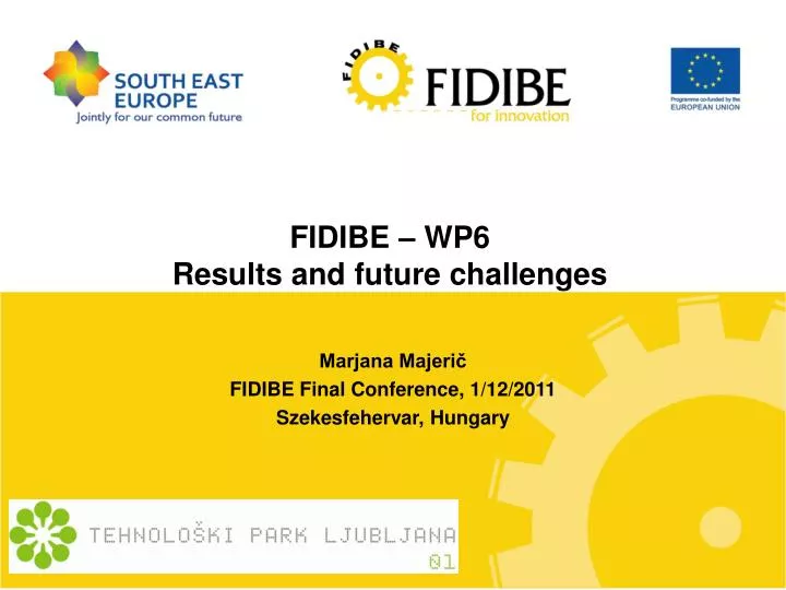 fidibe wp6 results and future challenges