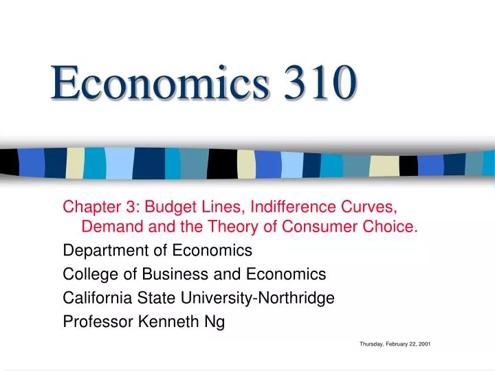 economics 310