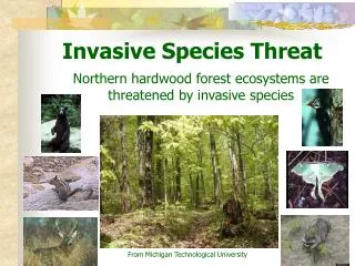 Invasive Species Threat