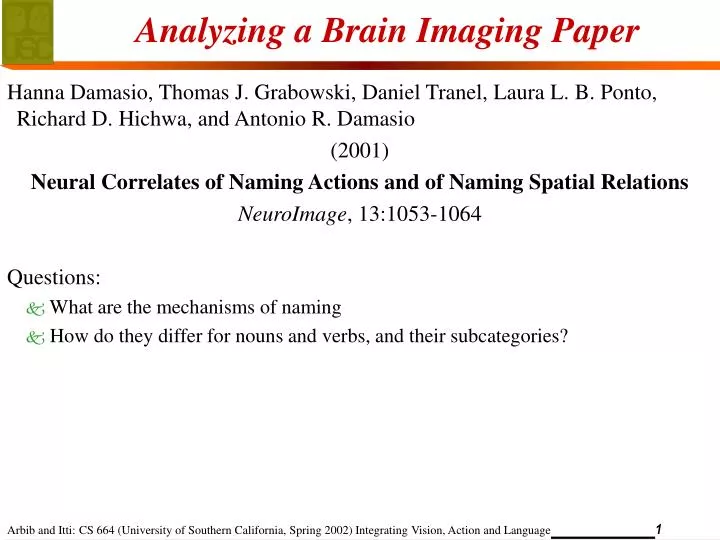 analyzing a brain imaging paper