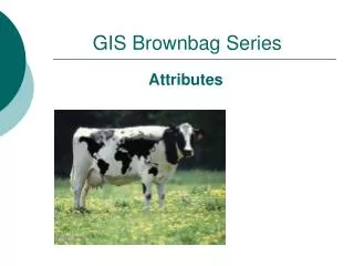 GIS Brownbag Series