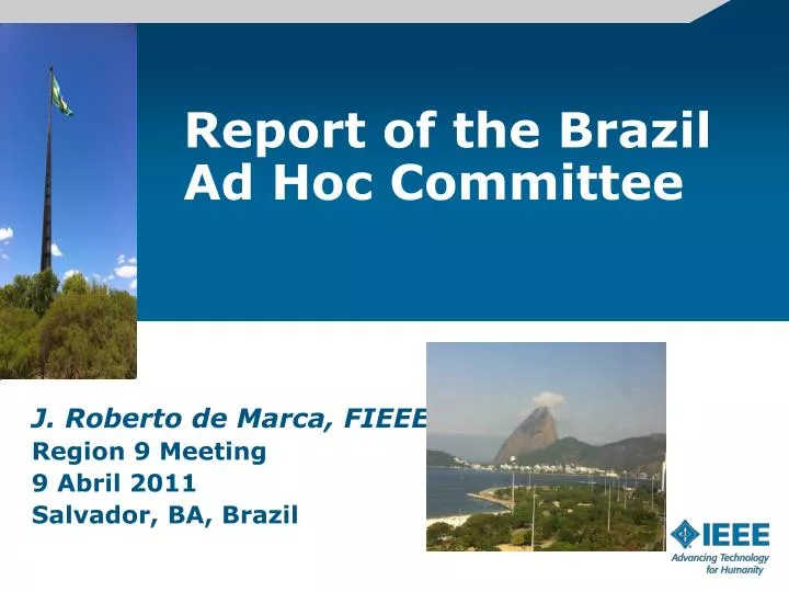 report of the brazil ad hoc committee