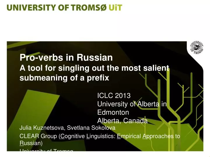 pro verbs in russian a tool for singling out the most salient submeaning of a prefix