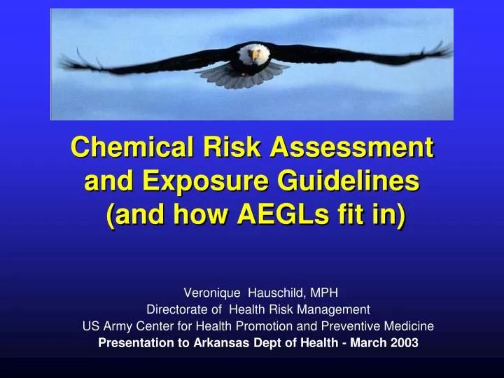 chemical risk assessment and exposure guidelines and how aegls fit in