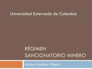 r gimen sancionatorio minero