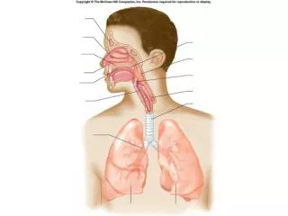 fig 16 01