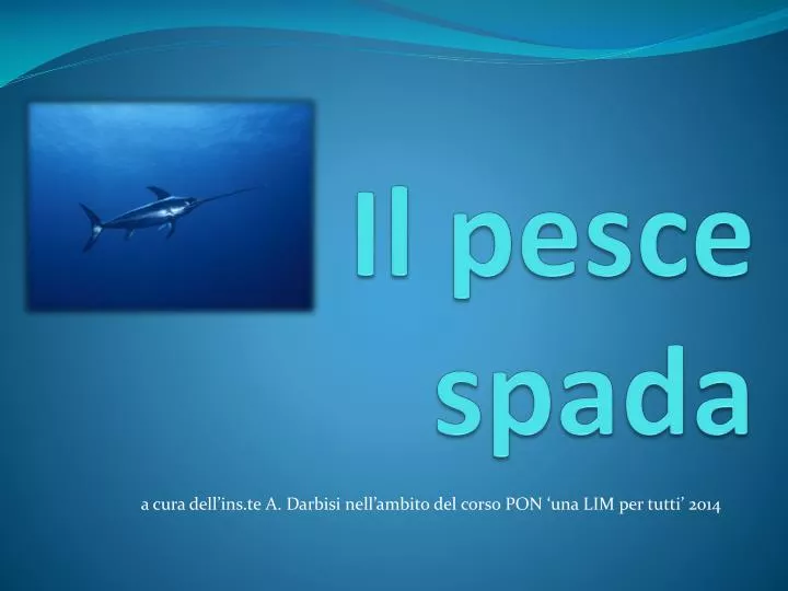 il pesce spada