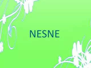 nesne