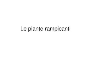 le piante rampicanti