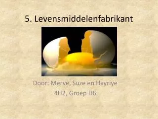 5 levensmiddelenfabrikant