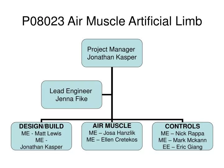 p08023 air muscle artificial limb