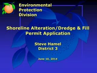 Shoreline Alteration/Dredge &amp; Fill Permit Application Steve Hamel District 3