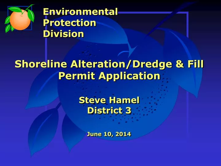 shoreline alteration dredge fill permit application steve hamel district 3
