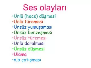 ses olaylar