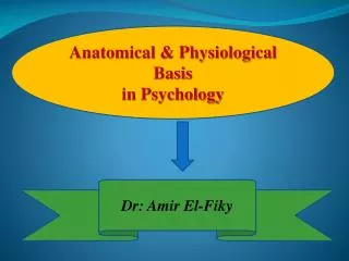 Anatomical &amp; Physiological Basis in Psychology