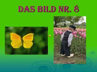 das bild nr 8
