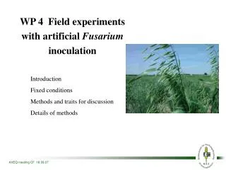 WP 4 Field experiments with artificial Fusarium inoculation