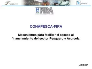 conapesca fira mecanismos para facilitar el acceso al financiamiento del sector pesquero y acu cola