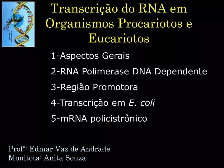 transcri o do rna em organismos procariotos e eucariotos